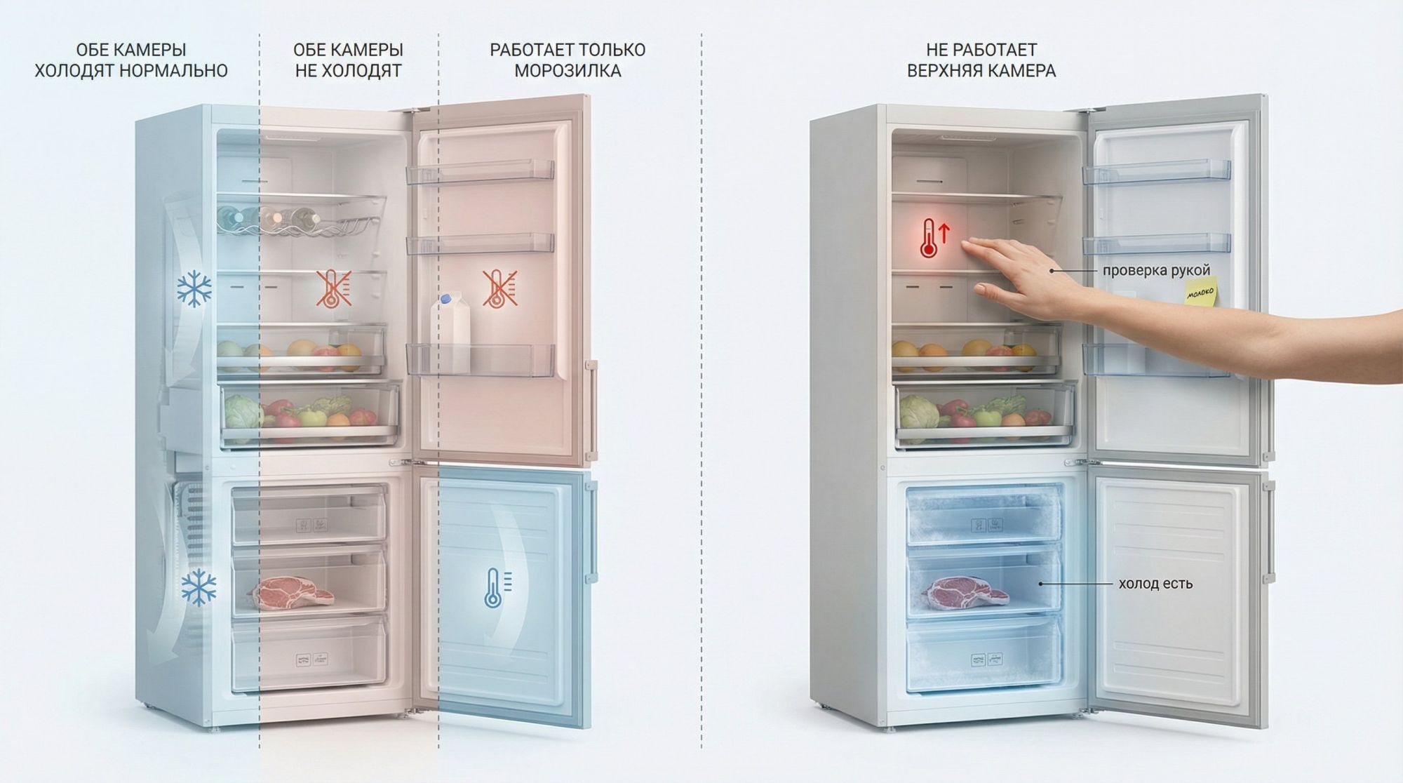 Современный двухкамерный холодильник в разрезе, вид сбоку, на светлом фоне. Внутри показаны две явно разделённые зоны: верхняя холодильная камера и нижняя морозилка. На левой