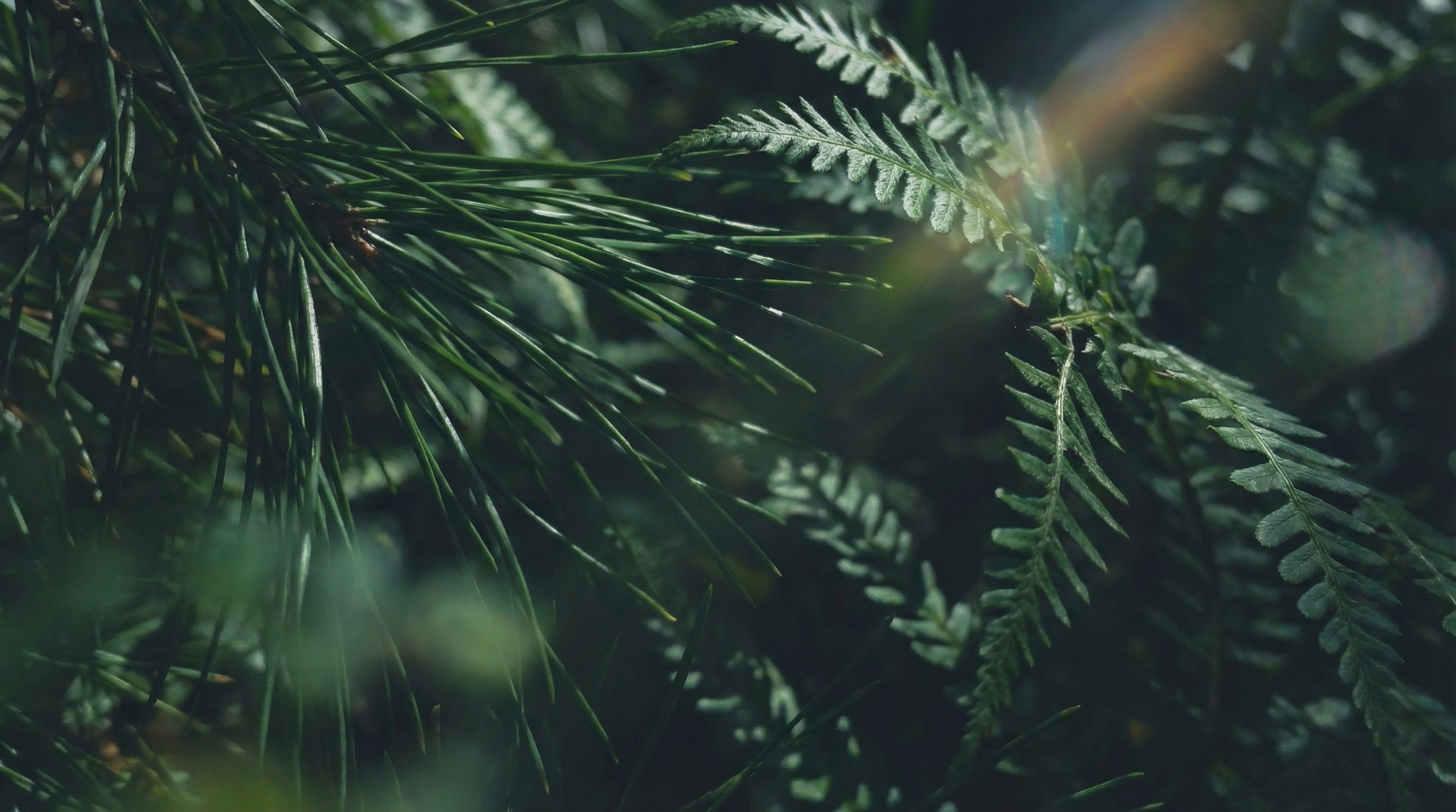 Вы заботитесь об окружающей среде, выбирая ремонт, а не покупку техники