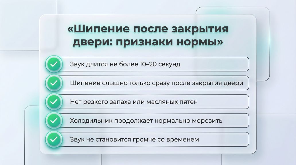 Вертикальная инфографика в виде чек-листа «Шипение после двери: когда это норма» в верхней части страницы. Слева от каждого пункта зелёный кружок с галочкой, справа краткий текст